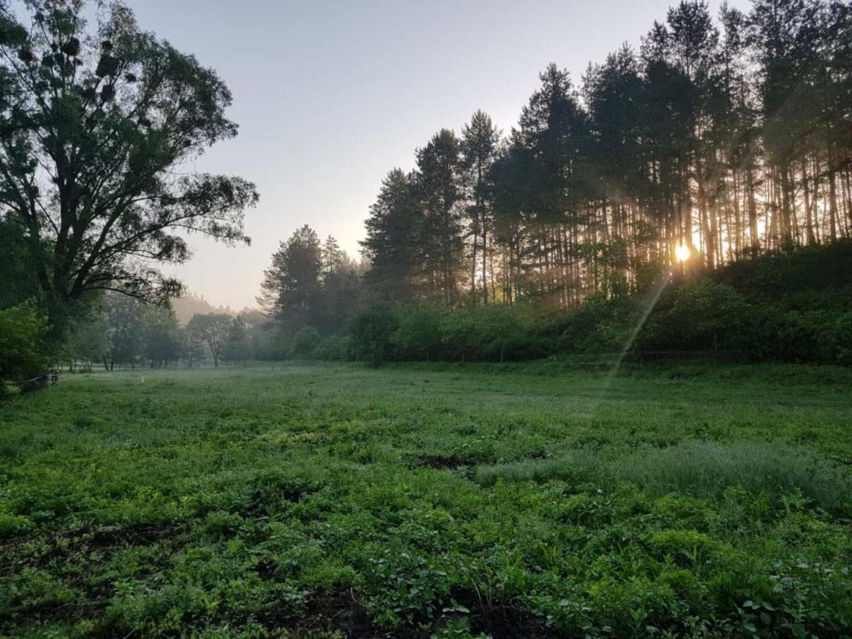 Глемпінг Шатро Hotel Ul'yaniki Bagian luar foto